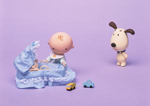 可愛い豆柴と巡り合うことが出来ます