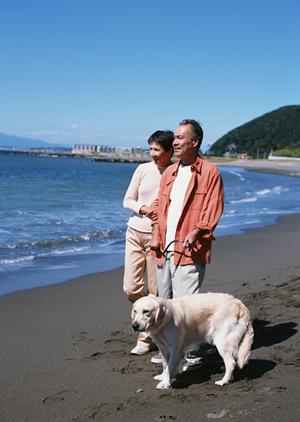 シロアリ駆除の信頼と実績：アサンテが提供する安心のサービスとは