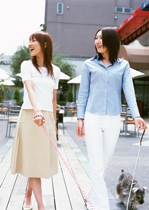 ペットの葬儀を依頼できる会社です