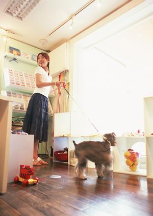 チワワとプードル専門店の特徴について