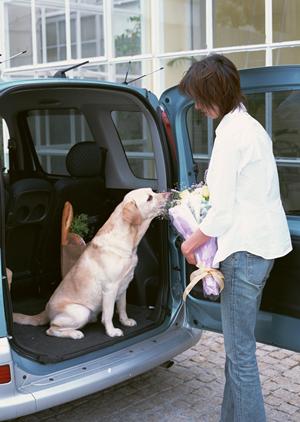武蔵野市のひだまり動物病院吉祥寺